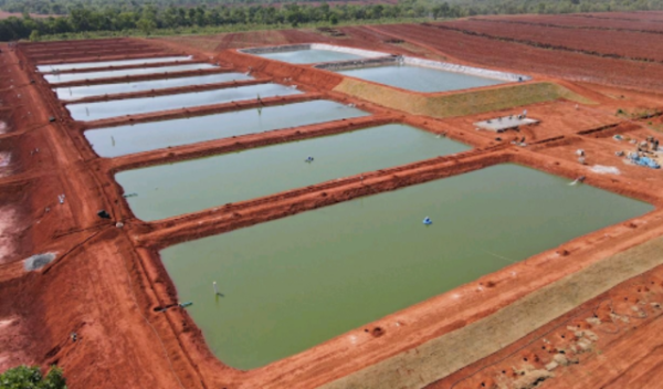 Best Management Practices For Fish Farming In Africa