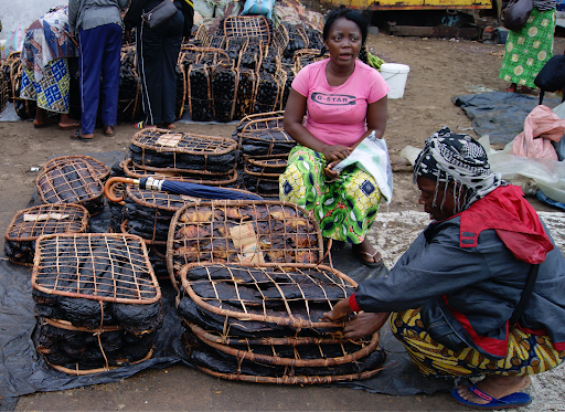 Congo smoked catfish in traditional packaging for the market