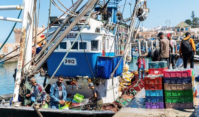 LATEST. Suspension Lifted On Octopus Fishing