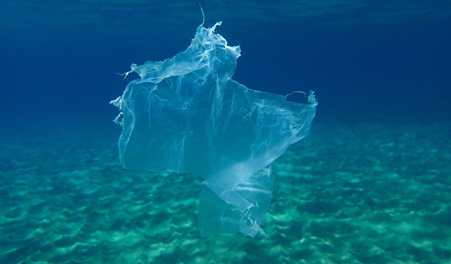 What is the impact of biodegradable plastic in the oceans? - Blue Life Hub